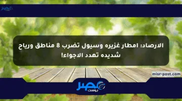الأرصاد: أمطار غزيرة وسيول تضرب 8 مناطق ورياح شديدة تهدد الأجواء!